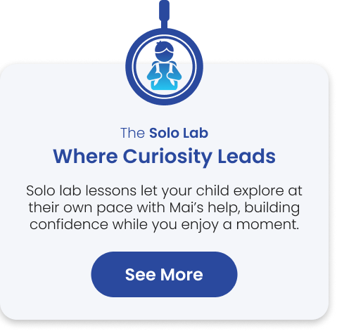 Solo Lab Explanation